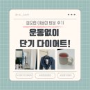 룰루랄라랩 | 수원다이어트 고민! 운동없이 단기 다이어트 가능한 셀포랩 이음점 후기