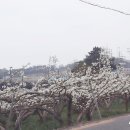 이화정농장 이미지