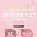 고고씽점핑 이미지