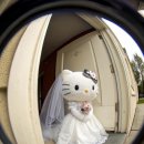 예림디자인 | 웨딩촬영 부케💐 예림조화 플레롱 백합디자인 내돈내산 후기/ 장미부케, 콘부케/고속터미널 꽃시장 조화부케