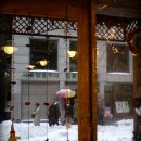 호랑이광장 이미지