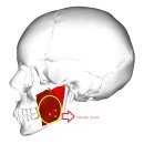 더나인의원 이미지