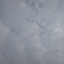 당진관광안내소 이미지