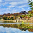 태백산맥거리1 이미지