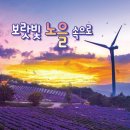 거창군농업기술센터 | 추석에 가볼만한곳 - 거창 감악산 꽃별여행(보라빛 아스타국화) 정보