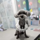 그 남자의 grooming # 공간 이미지