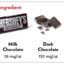 천동물병원 이미지