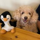 더블루 베이커리 이미지