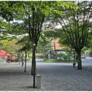 영월가자 펜션&캠핑장 | 강원캠핑장 자연 속 힐링 공간 영월가자 펜션과 캠핑장 후기