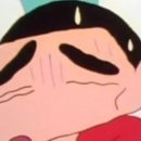 이랑동물병원 이미지