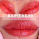 돌마로90번길 | [입술 컬러 후기] 칙칙했던 입술에 생기를! 클라씨뷰티 분당본점