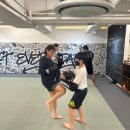 펀치킥복싱킥복싱트레이닝센터