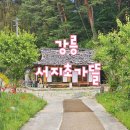 난곡동-63 | 강릉 아이와 가볼만한 곳 정원카페와 한옥카페 서지초가뜰카페에서 인생사진 찍고 데이트하세요.