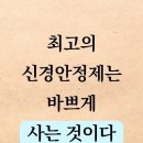 안정제 이미지