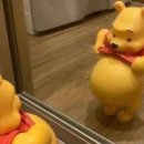 햇빛병원 이미지