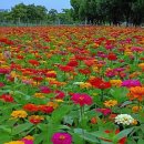 담양군청 이미지