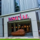 M호텔 | 싱가포르 로버슨 키 호텔 후기 — M Social Singapore