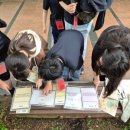 중동초등학교2 이미지