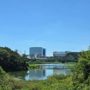 씨유 동탄레이크원본점 | 경기도 수원 근처 글램핑 추천 | 기흥호수 &#39;캠프레이크&#39; 당일치기 캠프닉 후기 &amp; 가격 총정리