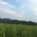 순천그로브게스트하우스 이미지