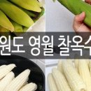 강원도옥수수