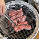 [내돈내산] 강원도 횡성 클럽 프리모 캠핑 글램핑 다녀온 후기