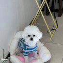 회원동219 | 샌드위치가 맛있는 회원동 카페 동네커피마산회원점