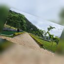 송가인공원 이미지