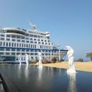 잉어 | [강릉] 썬크루즈 호텔 후기(해돋이, 잉어 맛집)