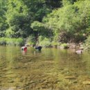 자연숲민박 이미지