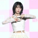 네모네모 이미지