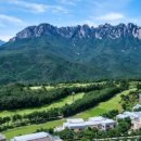 소노캄 델피노C 이미지