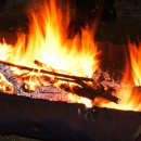 대흥민박 이미지