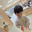 차가꿈 | [방문후기]김해목재문화박물관_꿈크는 나무 놀이터 리뷰 후기