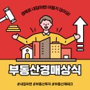 알기쉬운 부동산 경매 이미지