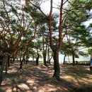 섬진강자전거길5 이미지