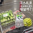 부산 코스트코 3월 둘째주 할인상품 정보 및 장보기 후기