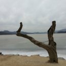 엽차엽차 이미지