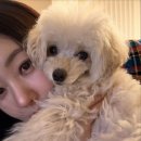 김사랑 카카오 검색결과