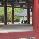 청도운림고택앞펜션 | 청도 여행 리뷰 (25.7.19 ~ 20, 운문사, 고택앞펜션)