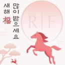 리페이스치과병원 네이버블로그