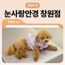 GS25창원용지점 | 창원에서 제일 오래된 눈사랑안경 창원점 안경 맞춘 후기
