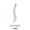 365강추한의원 이미지