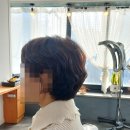 헤어퀸 이미지