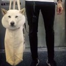 우프테이블 이미지