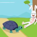 거북이 이미지