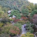 화담다인 이미지