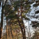 벽계마을(단구2리) | 가평 곡달산~통방산~삼태봉 산행-곡달산은 그 형세가 실망스러워 곡하며 눌러앉아, 통방산은 사면팔방...