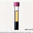 피의 성분 '물보다 진한 생명 유지의 핵' 이미지