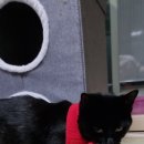 명덕양꼬치 이미지